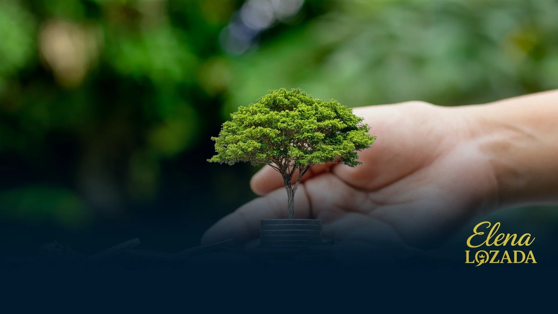 ¿Por qué las inversiones sostenibles son el futuro financiero global?